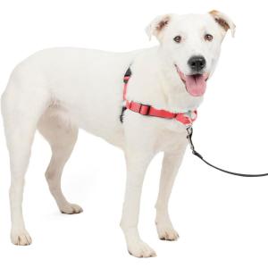 imagePetSafe Easy Walk Deluxe Dog Harness No Pull Dog Harness  Perfect for Leash ampamp Harness Training  Stops Pets from Pulling and Choking on Walks  Large AppleRose