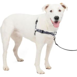 imagePetSafe Easy Walk Deluxe Dog Harness No Pull Dog Harness  Perfect for Leash ampamp Harness Training  Stops Pets from Pulling and Choking on Walks  Large AppleSteel