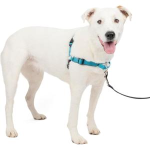 imagePetSafe Easy Walk Deluxe Dog Harness No Pull Dog Harness  Perfect for Leash ampamp Harness Training  Stops Pets from Pulling and Choking on Walks  Large AppleOcean