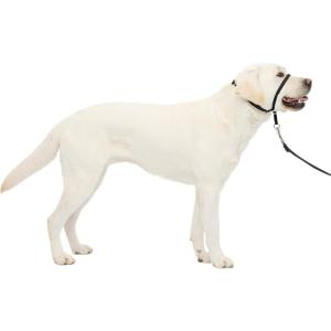 imagePetSafe Gentle Leader NoPull Head Collar for Dogs Dog Head Collar  The Ultimate Solution to Pulling Padded Nose Loop QuickSnap Neck Strap Dog Halter Large  Black
