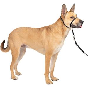 imagePetSafe Gentle Leader NoPull Head Collar for Dogs Dog Head Collar  The Ultimate Solution to Pulling Padded Nose Loop QuickSnap Neck Strap Dog Halter Medium  BlackBlack