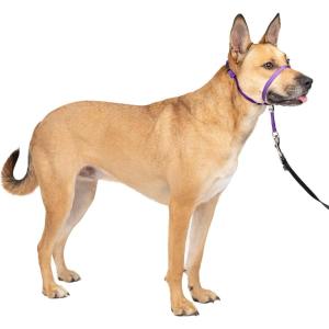 imagePetSafe Gentle Leader NoPull Head Collar for Dogs Dog Head Collar  The Ultimate Solution to Pulling Padded Nose Loop QuickSnap Neck Strap Dog Halter Medium  BlackDeep Purple