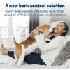 imagePetSafe Audible Bark Dog Collar Humanely Stop Barking Alternative to Static Shock No Bark Collar 10 Levels of Safe Correction  for Small Medium ampamp Large Dogs Over 8 lb Rechargeable ampamp Waterproof