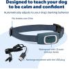 imagePetSafe Lite Rechargeable Bark Collar for Timid or Little Dogs Over 8 lb 15 Levels of Automatically Adjusting ampamp Light Static Correction  Rechargeable Waterproof  Reduces Barking and WhiningLittle Dog Lite