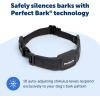 imagePetSafe NanoBark Collar  Worlds Smallest Bark Collar for Small and Medium Dogs 10 Levels of Static Stimulation Waterproof and Rechargeable AntiBark Training Comfortable and LowProfile Design