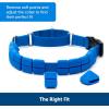 imagePetSafe Soft Point Training Collar  Helps Stop Pulling  Safer Than Prong or Choke Collars  Teaches Better Leash Manners  No Pull Training Collar with Rubber Points for Dogs  Medium BlueBlue