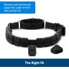 imagePetSafe Soft Point Training Collar  Helps Stop Pulling  Safer Than Prong or Choke Collars  Teaches Better Leash Manners  No Pull Training Collar with Rubber Points for Dogs  Medium BlueBlack