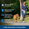 imagePetSafe Soft Point Training Collar  Helps Stop Pulling  Safer Than Prong or Choke Collars  Teaches Better Leash Manners  No Pull Training Collar with Rubber Points for Dogs  Medium BlueBlack