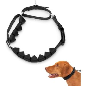imagePetSafe Soft Point Training Collar  Helps Stop Pulling  Safer Than Prong or Choke Collars  Teaches Better Leash Manners  No Pull Training Collar with Rubber Points for Dogs  Medium BlueBlack