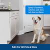 imagePetSafe SSSCAT Spray Replacement Can Only Use with SSSCAT Spray Dog and Cat Deterrent System  Keeps Areas Pet Proof Environmentally Friendly Training Repellent  Protect Your Pets and Furniture