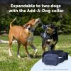 imagePetSafe Core Dog Trainer with Remote  Waterproof Training Collar  1000 Foot Range  Tone Vibration and 15 Levels of Static