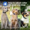 imagePetSafe Core Dog Trainer with Remote  Waterproof Training Collar  1000 Foot Range  Tone Vibration and 15 Levels of Static