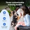 imagePetSafe Core Dog Trainer with Remote  Waterproof Training Collar  1000 Foot Range  Tone Vibration and 15 Levels of Static
