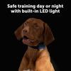 imagePetSafe Core Dog Trainer with Remote  Waterproof Training Collar  1000 Foot Range  Tone Vibration and 15 Levels of Static