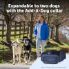 imagePetSafe Pro Dog Trainer with Remote  Waterproof Training Collar  1000 ft Range  Tone Vibration and 19 Levels of Static  AddADog Compatible  Sleek Remote Training Collar