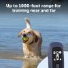 imagePetSafe Pro Dog Trainer with Remote  Waterproof Training Collar  1000 ft Range  Tone Vibration and 19 Levels of Static  AddADog Compatible  Sleek Remote Training Collar
