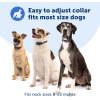 imagePetSafe Core Digital Dog Bark Collar  Waterproof AntiBark Training Device  Tone Vibration and Static Correction  Illuminated Digital Display  for Small Medium or Large Dogs 8 lb and Up