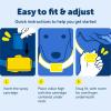 imagePetSafe Elite Little Dog Spray Bark Collar for Small Dogs from 8 lbs to 55 lbs  Smallest Collar Option  Citronella Spray  No Barking Control Device  PBC0011283