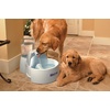 image:imagePetSafe Drinkwell Big Dog Water Fountain Great for Large Breeds and Multiple Pets 288 ozBig Dog