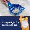 imageFresh Step Advanced Clumping Litter with Febreze Freshness with Gain Scent Fights Odor on Contact 37 lbs 2 x 185 lb Box Package May VaryHeavy Duty