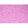 imageFresh Step Cat Litter Crystals In Fresh Scent Cat Litter Box Deodorizer Combats Cat Odors and Neutralizes Smells to Keep Your Home Clean 15 Ounces Pack of 1Sweet Blossom