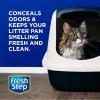imageFresh Step Cat Litter Crystals In Fresh Scent Cat Litter Box Deodorizer Combats Cat Odors and Neutralizes Smells to Keep Your Home Clean 15 Ounces Pack of 1Summer Breeze