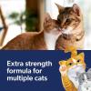 imageFresh Step Clean Paws Cat Litter with Febreze Freshness Advanced Multi Cat Low Tracking Clumping Litter 37 lbs 2 x 185 lb Box37 lb