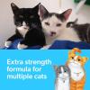 imageFresh Step Clean Paws Cat Litter with Febreze Freshness Advanced Multi Cat Low Tracking Clumping Litter 37 lbs 2 x 185 lb Box37 lb
