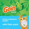 imageFresh Step Clumping Cat Litter with Febreze Gain Scent Long Lasting Odor Control Kitty Litter with Activated Charcoal Low Dust Formula 14 lb