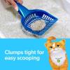 imageFresh Step Clumping Cat Litter with Febreze Gain Scent Long Lasting Odor Control Kitty Litter with Activated Charcoal Low Dust Formula 14 lb