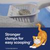 imageFresh Step Outstretch Advanced Long Lasting Clumping Litter with Febreze Freshness Activated Charcoal Litter Lasts 50 Longer 32 lbs 2 x 16 lb Box32 lb