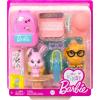 imageBarbie My First Barbie Accessories Story Starter School Pack with Chalkboard ampamp Classroom Pets Sized to Dolls in 135inch ScaleDog  Cat Starter Pack