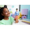 imageBarbie Fashionistas Ken Doll 219 with Slender Body Wearing a Removable LongSleeve Pink ampamp Blue Patterned Shirt with Shorts