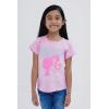 imageBarbie Girls 2 Pack Adaptive TShirts Sensory Friendly Little Kid Sizes 478Pink