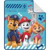 Paw Patrol - 3