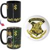 Harry Potter (Hogwarts)