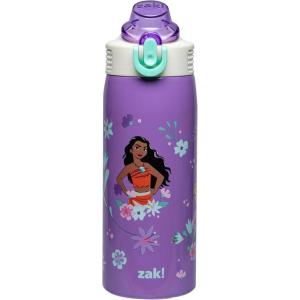 imageZak Designs Barbie Sage Kids Water Bottle For School or Travel 19oz Stainless Steel Water Bottle With Straw Handle and LeakProof PopUp Spout Cover BarbiePrincess Ariel  Moana  Rapunzel  Tiana