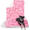 imageFranco Pet Barbie Super Soft Cozy Waterproof SherpaBacked Blanket Throw for Medium Dogs CouchBedCar 40x50 Officially Licensed ProductBarbie