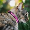 image:imageBarbie Breakaway Cat Collar with Bell Plastic Clip Easy Adjustable Barbie Script Signature Logo and Silhouette Hot Pink White 85 to 12 Inches 05 Inch Wide
