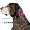 image:imageMattel Dog Collar with Plastic Buckle Quick Release Easy Adjustable Barbie Script Signature Logo and Silhouette Hot Pink White 85 to 12 Inches 05 Inch Wide15 Wide  Fits 2031 Neck  Large