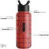 image:imageSimple Modern Summit Water Bottle with Straw Lid  Barbie 30oz Leak Proof Stainless Steel Insulated Cup  Gifts for Her  Barbie CheckmateMarvel Spider Armor