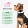 image:imageSassy Woof Dog Adjustable Harness  Barbie Malibu  S Breathable Mesh No Pull Design with Two DRings Patented Design Perfect for Small Dogs and Puppies  Officially LicensedMedium