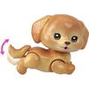 image:imageBarbie Dream Squad Pet Puppy Pool with Palm Tree ColorChange Snorkel Mask Flippers and PoolThemed Play PiecesPuppy  Palm Tree