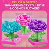 image:imageBarbie Crystal Growing Flower Garden Science Kit for Kids Ages 812