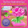 image:imageBarbie Crystal Growing Flower Garden Science Kit for Kids Ages 812