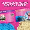 image:imageBarbie LightUp Beach Terrarium Craft Kit with Gemstones for Kids