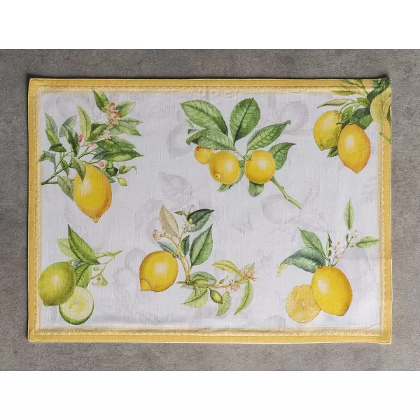 Maison d Hermine Cloth Placemats 100 Cotton Set of 4 Decorative Washable Table Placemat Dining Holidays Buffet Parties amp Wedding Use Summer Picnic  SpringSummer04  Limoncello Set of 4