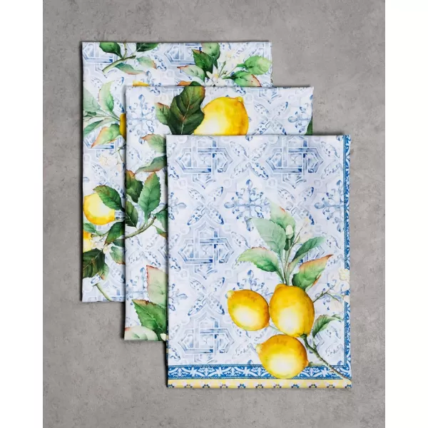 Maison d Hermine Dish Cloth 100 Cotton Set of 3 Quick Drying Dish Towels for Gifts Restaurant Dining Kitchen Parties amp Tea Citrus  SpringSummer54  Citrus Kitchen Towel Pack of 3