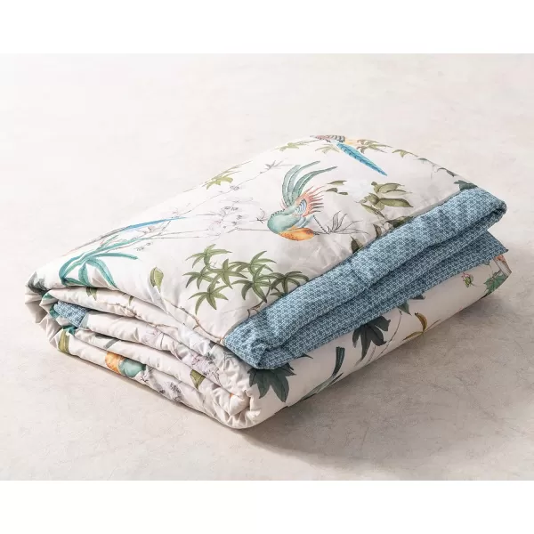 Maison d Hermine Imperfection Cotton Throw Blanket Bohemian Bedding Lightweight and Breathable for Couch Sofa Bed Travel 50x6060x80 Hokuzai