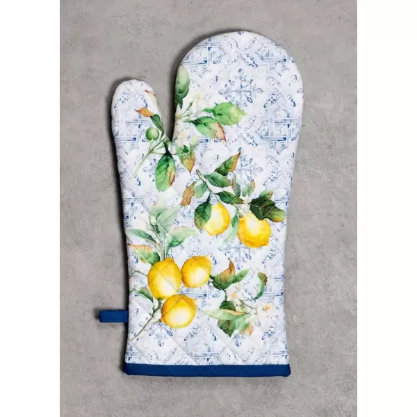 imageMaison d Hermine Oven Mitt  Pot Holder 100 Cotton Heat Resistant Kitchen Oven Gloves 75quotx13quot ampamp Hot Pads 8quotx8quot Chef Women ampamp Men Parties Birdies On Wire  SpringSummerCitrus